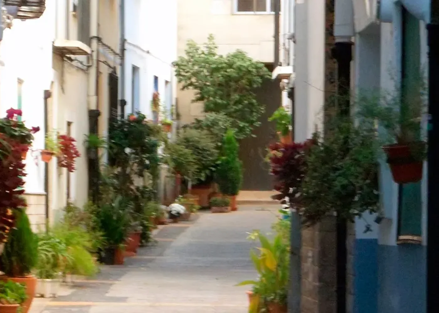 Calle la Parra. Mancomunidad la Baronia. Valencia